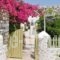 Leonardos Studios And Apartments Paros_travel_packages_in_Cyclades Islands_Paros_Naousa