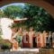 9 Muses_lowest prices_in_Hotel_Ionian Islands_Kefalonia_Assos