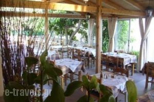 Liocharis Apartments_holidays_in_Apartment_Ionian Islands_Kefalonia_Lourdata