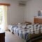 Miramare Bungalows_best prices_in_Apartment_Macedonia_Halkidiki_Paradisos
