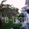 Miramare Bungalows_lowest prices_in_Apartment_Macedonia_Halkidiki_Paradisos