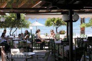 Miramare Bungalows_travel_packages_in_Macedonia_Halkidiki_Paradisos