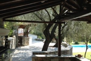 Villa Olive_best deals_Villa_Thessaly_Magnesia_Ano Volos