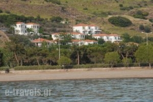 Panorama Hotel_lowest prices_in_Hotel_Aegean Islands_Lesvos_Petra