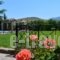 Villas Elpiniki_best prices_in_Villa_Aegean Islands_Lesvos_Mythimna (Molyvos)
