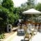 Alexandros Studios & Apartments_best deals_Apartment_Crete_Chania_Galatas