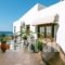 Panorama Apartments_lowest prices_in_Apartment_Aegean Islands_Lesvos_Plomari