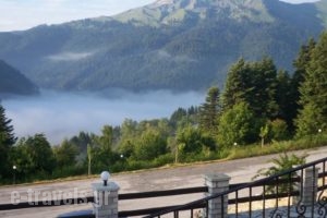Hotel Magiossi_holidays_in_Hotel_Thessaly_Trikala_Neraidochori