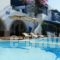 Dimitra Hotel_accommodation_in_Hotel_Cyclades Islands_Naxos_Agios Prokopios