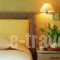 Best Western Fenix Hotel_lowest prices_in_Hotel_Macedonia_Thessaloniki_Thessaloniki City