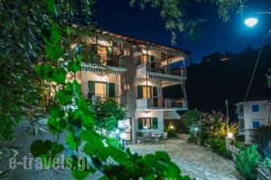 Nikoleta Studios_lowest prices_in_Hotel_Ionian Islands_Lefkada_Lefkada Chora
