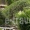 Villa Zografos_travel_packages_in_Cyclades Islands_Iraklia_Iraklia Chora