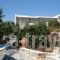 Villa Zografos_accommodation_in_Villa_Cyclades Islands_Iraklia_Iraklia Chora