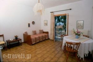 Afendakis Hotel_lowest prices_in_Hotel_Cyclades Islands_Paros_Paros Chora