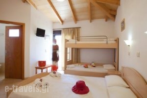 Castello Apartments & Studios_best prices_in_Apartment_Crete_Rethymnon_Plakias