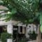 Yiorgos Hotel_best deals_Hotel_Dodekanessos Islands_Kos_Kos Chora
