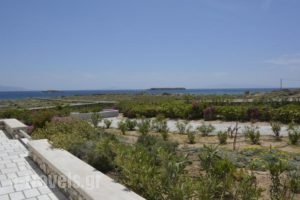 Golden Sea Villas_best prices_in_Villa_Cyclades Islands_Paros_Chrysi Akti