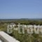 Golden Sea Villas_best prices_in_Villa_Cyclades Islands_Paros_Chrysi Akti