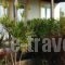 Aphrodite Villa Gennadi_travel_packages_in_Dodekanessos Islands_Rhodes_Rhodes Rest Areas