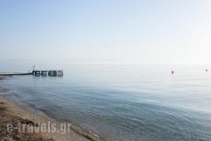 Corfu Village_holidays_in_Hotel_Ionian Islands_Corfu_Corfu Rest Areas