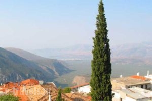 Castri Hotel_lowest prices_in_Hotel_Central Greece_Fokida_Delfi