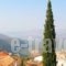 Castri Hotel_lowest prices_in_Hotel_Central Greece_Fokida_Delfi
