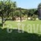 Caposaldo Apartments_holidays_in_Apartment_Peloponesse_Achaia_Akrata