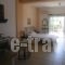Agathi_best deals_Apartment_Ionian Islands_Lefkada_Sivota
