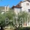 Menina Farm_accommodation_in_Hotel_Thessaly_Magnesia_Pilio Area