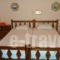 Dallas Hotel_best deals_Hotel_Peloponesse_Arcadia_Paralio of Astros