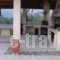 Villa Anastasia_best deals_Villa_Macedonia_Serres_Amfipoli