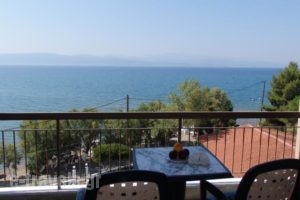 Stefania Hotel_lowest prices_in_Hotel_Central Greece_Evia_Amaranthos