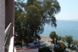 Stefania Hotel_best prices_in_Hotel_Central Greece_Evia_Amaranthos