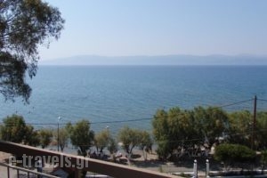 Stefania Hotel_travel_packages_in_Central Greece_Evia_Amaranthos