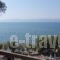 Stefania Hotel_travel_packages_in_Central Greece_Evia_Amaranthos