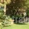 Zorbas Apartments_best deals_Apartment_Aegean Islands_Chios_Chios Rest Areas