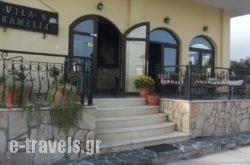 Villa Camellia_s __1