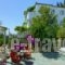 Konstantina Studios_holidays_in_Hotel_Sporades Islands_Skopelos_Skopelos Chora