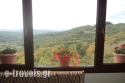 Guest House Ilektra_s __2