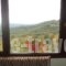 Guest House Ilektra_travel_packages_in_Macedonia_Grevena_Samarina