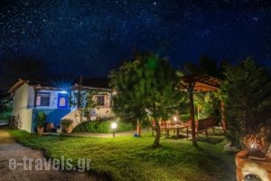 Sikia Blue Rooms_accommodation_in_Room_Macedonia_Halkidiki_Haniotis - Chaniotis