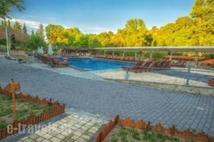 Tselikas Hotel_lowest prices_in_Hotel_Macedonia_Kozani_Kozani City