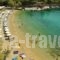 Studios Elena_holidays_in_Hotel_Sporades Islands_Alonnisos_Patitiri