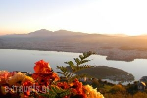 Agnantio_travel_packages_in_Epirus_Ioannina_Terovo