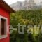 Agathi_holidays_in_Hotel_Epirus_Arta_Arta City