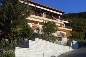 Gerakofolia Rooms to Let_best prices_in_Room_Epirus_Ioannina_Konitsa