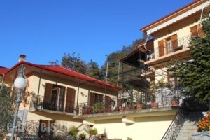 Gerakofolia Rooms to Let_lowest prices_in_Room_Epirus_Ioannina_Konitsa