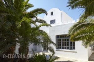 Crystal Palace_best prices_in_Hotel_Cyclades Islands_Sandorini_Emborio