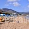 Alexander Beach Hotel & Village_travel_packages_in_Crete_Heraklion_Malia