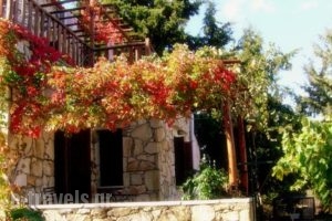 Manoli's House_lowest prices_in_Hotel_Crete_Chania_Vamos